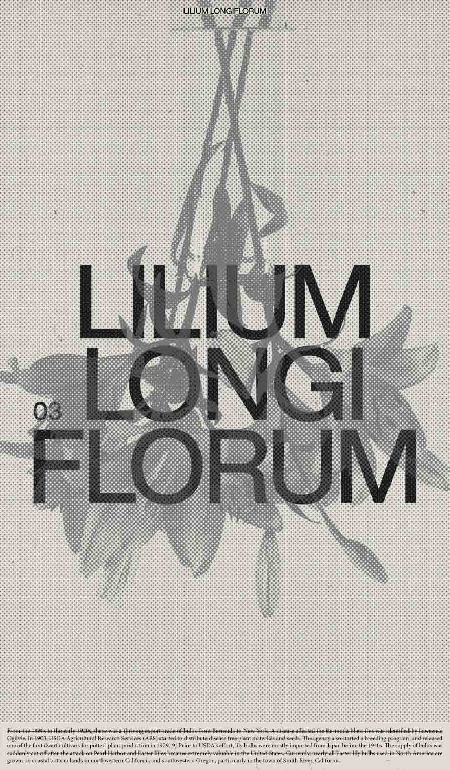 Poster 3