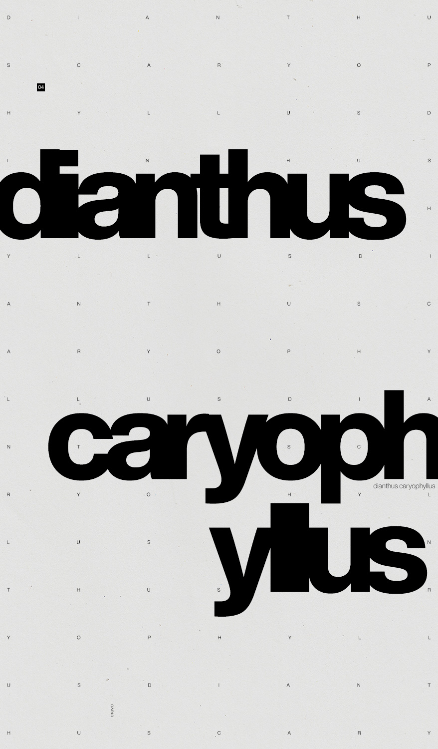 Poster 4