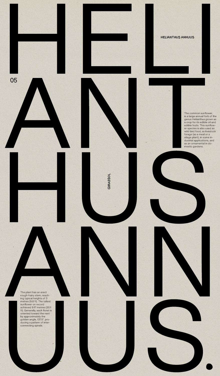 Poster 5