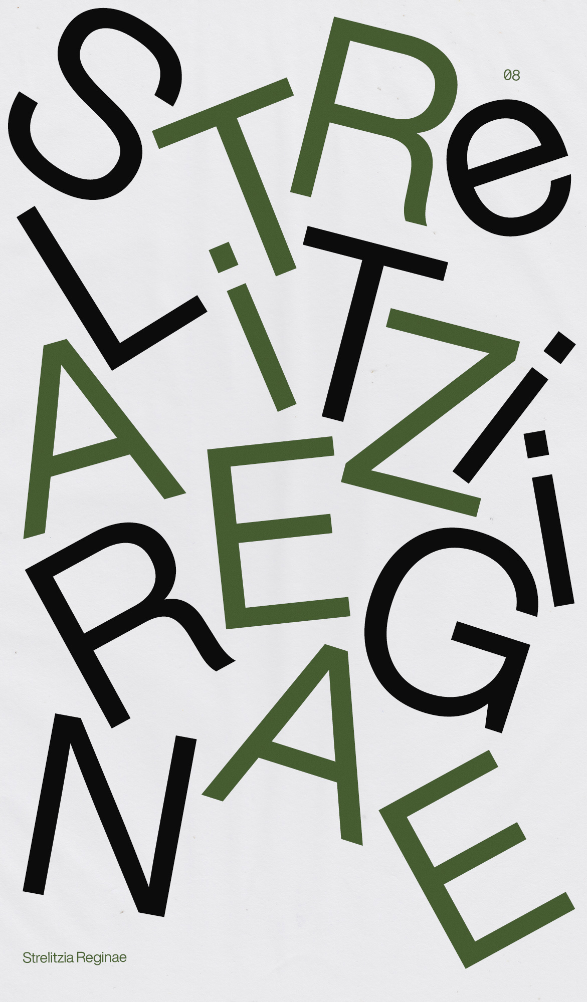 Poster 8
