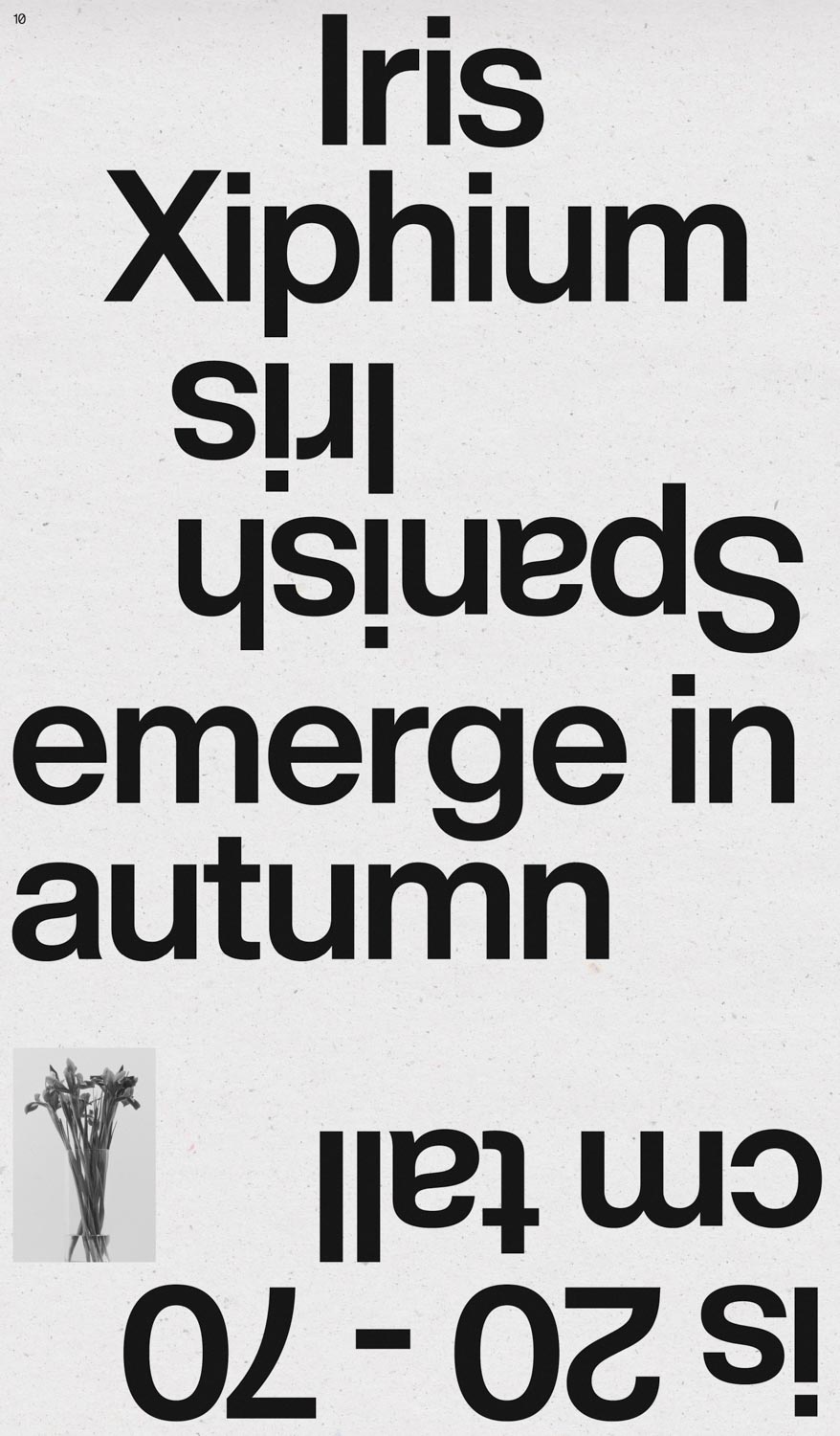 Poster 10