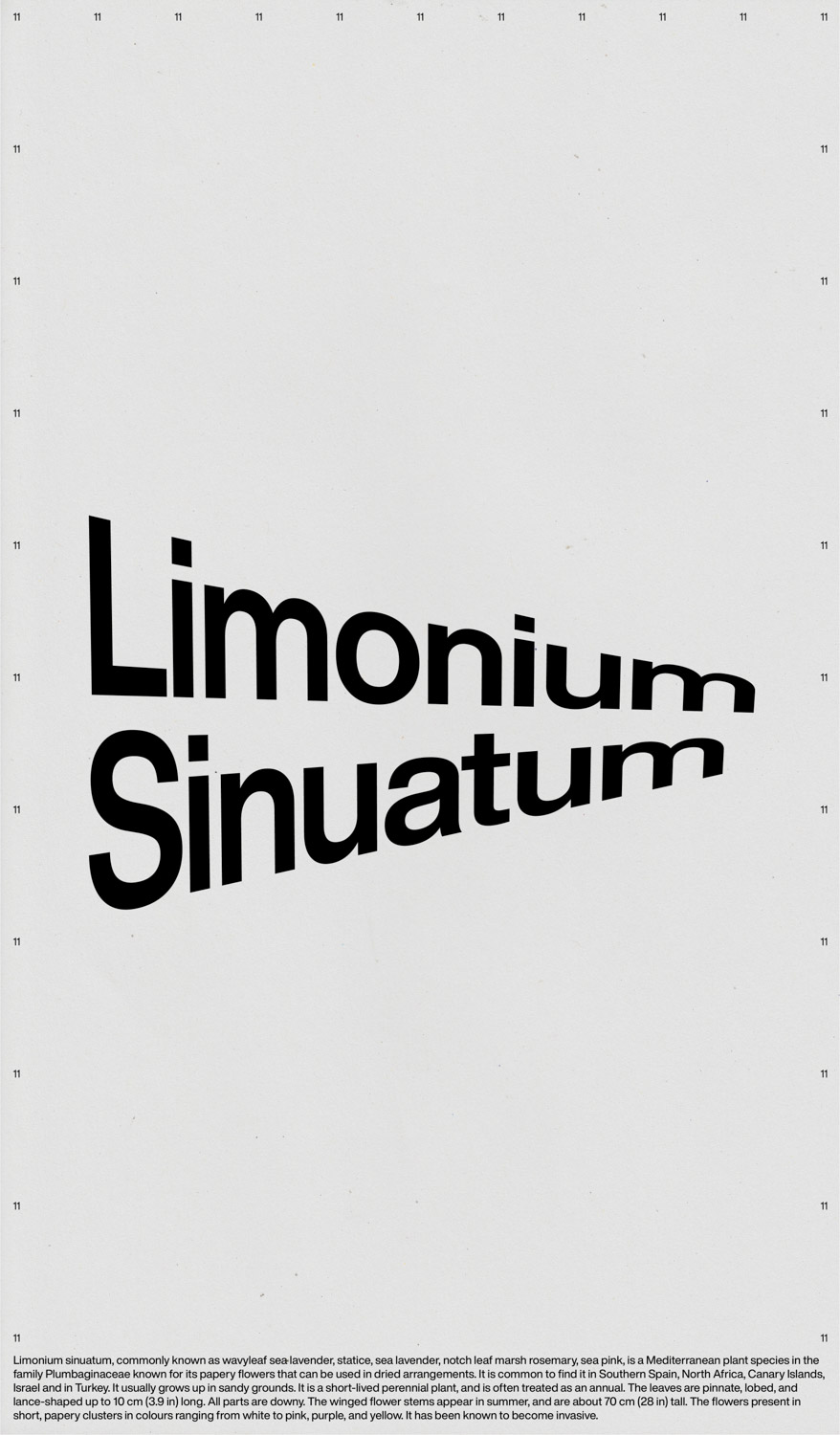 Poster 11