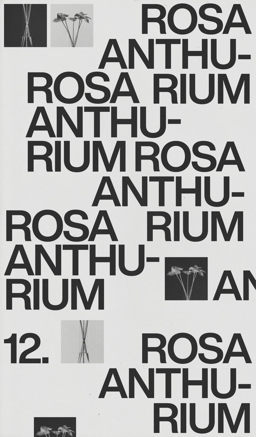 Poster 12