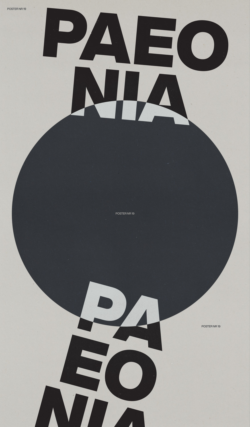 Poster 19