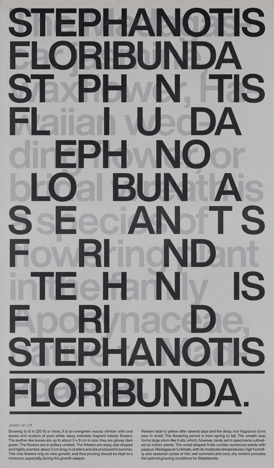 Poster 24