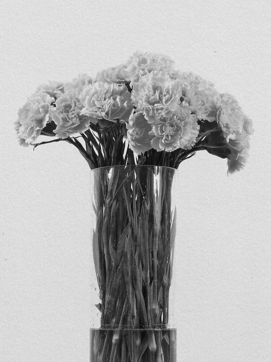 Project 4 flower pb