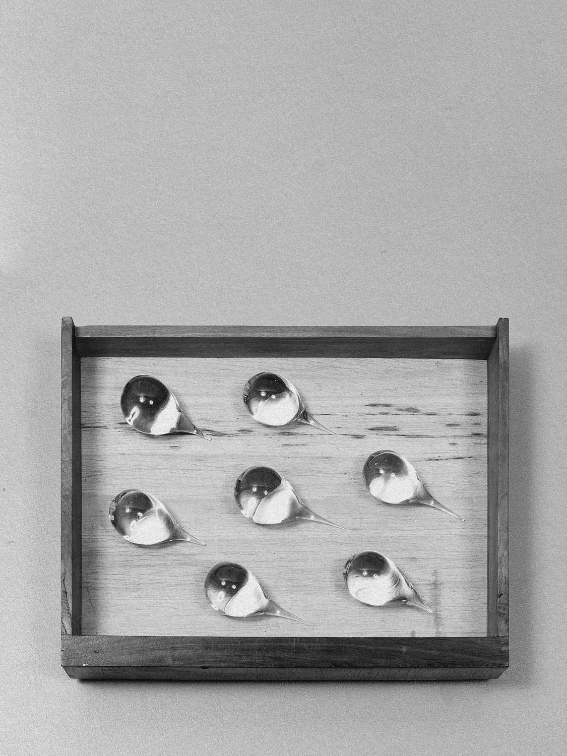 Project 8 drawer pb